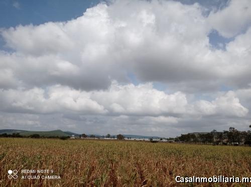 Rancho de 7 Hectáreas $56XM2 OPORTUNIDAD, Tequisquiapan, Ideal para Rancho, Agroindustria, Siembra