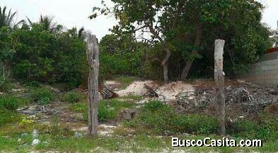 Terreno con Excelente ubicación en el municipio en Yucatán