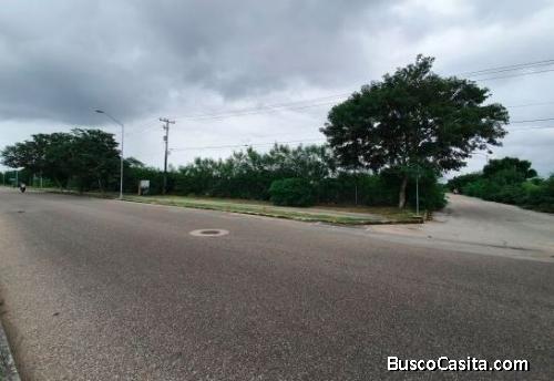 LOTE DE TERRENO EN VENTA 