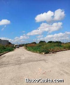 TERRENO POR ESTRENAR EN CHICHI SUAREZ