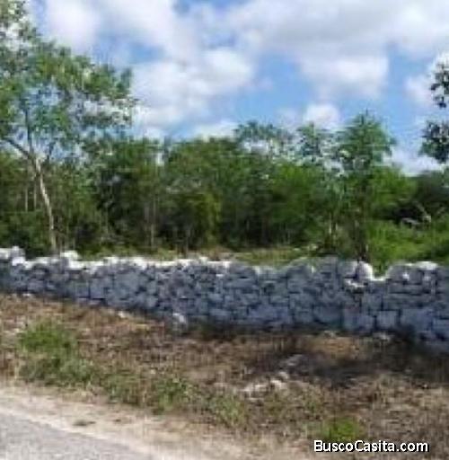 TERRENO UBICADO EN CAUCEL 