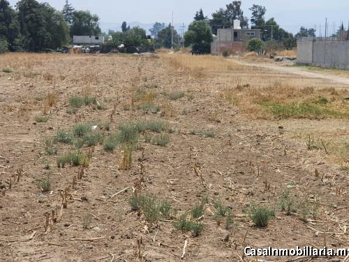 TERRENOS VENTA 2500 M2 PANOAYA TEXCOCO