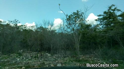 VENTA DE TERRENO EN CONKAL