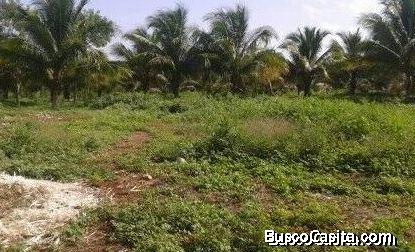 Terreno en venta en Umán 