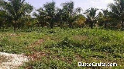 Terreno en venta en Umán 