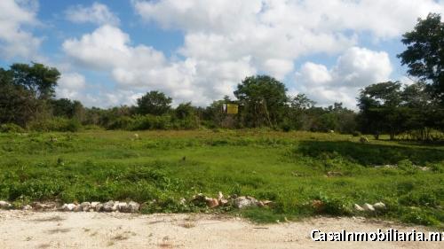 LOTES EN IZAMAL CON SERVICIOS Y ESCRITURAS