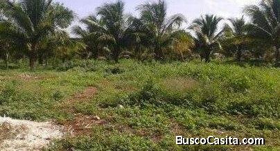 Terreno en venta en ACIM II 