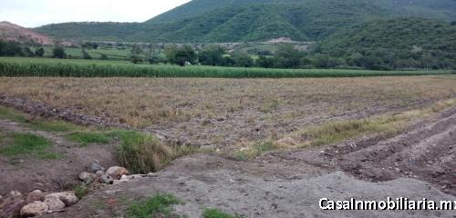 Terreno rustico en Tlaltizapán, Morelos