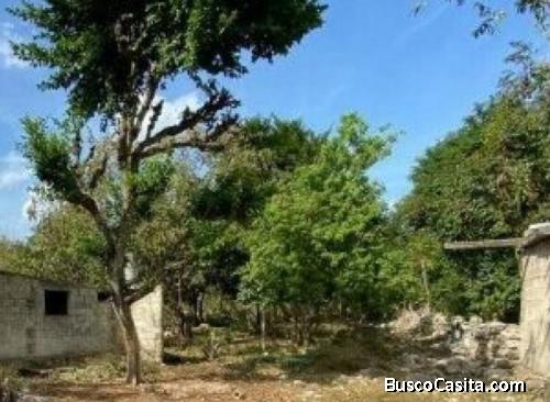 TERRENO EN VENTA EN LOS ENCINOS