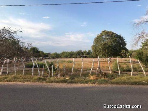 TERRENO EN VENTA EN SALVADOR ALVARADO ORIENTE