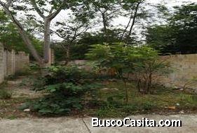 TERRENO EN MELITON SALAZAR 