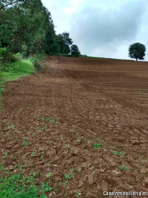 TERRENO VENTA VILLA DE ALLENDE