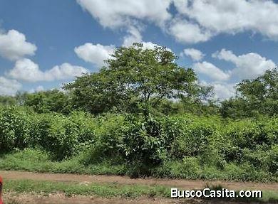 TERRENO EN VENTA EN NUEVA KUKULKAN 