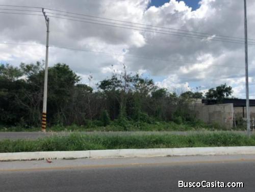 TERRENO EN VENTA EN CHOLUL