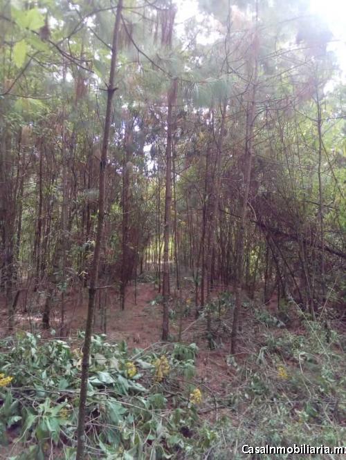  TERRENO VENTA PACHUCA