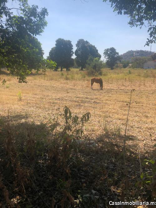 TERRENO VENTA REMOLINO YAUTEPEC MORELOS