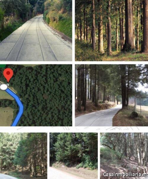 TERRENO VENTA ADJUDICADO JILOTZINGO ESTADO DE MEXICO 6.9