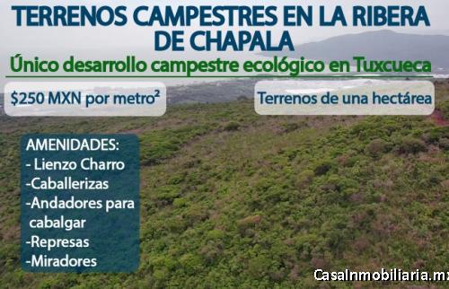 TERRENOS CAMPESTRES CON EXCELENTE VISTA AL LAGO DE CHAPALA