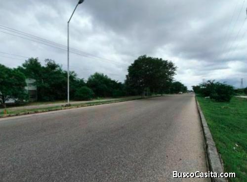 TERRENO EN TERRANOVA 