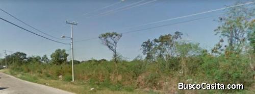 TERRENO EN VENTA CAUCEL