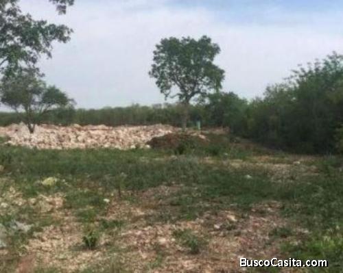 TERRENO EN VENTA AMPLIACION FCO DE MONTEJO