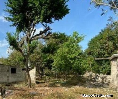 TERRENO EN VENTA TERRANOVA