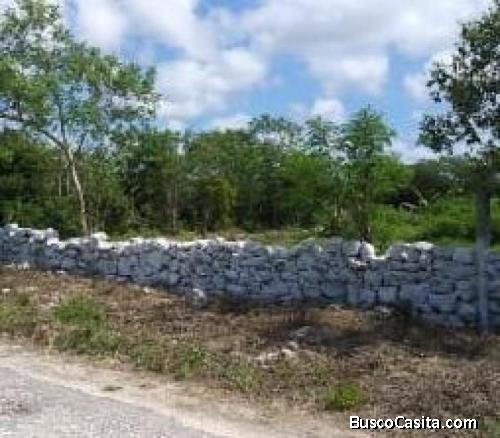 TERRENO EN VENTA EN FCO DE MONTEJO III