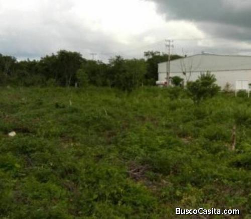 TERRENO EN VENTA HUNUCMÁ