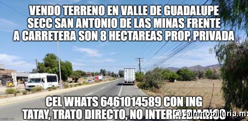 Vendo en Valle de Guadalupe 8 has frente a Carretera Ruta Vino