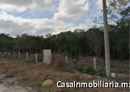 VENTA DE TERRENO EN CALKINI