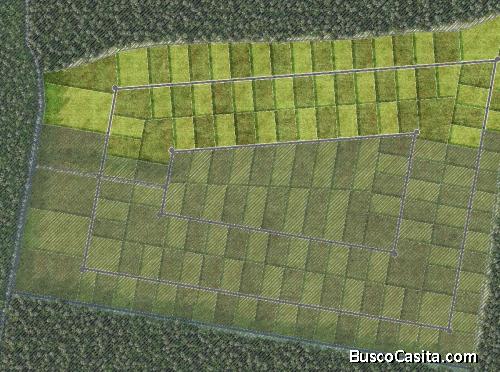 EN VENTA HERMOSO TERRENO 