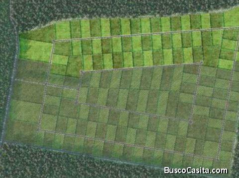 VENDO TERRENO CON BUENA UBICACION