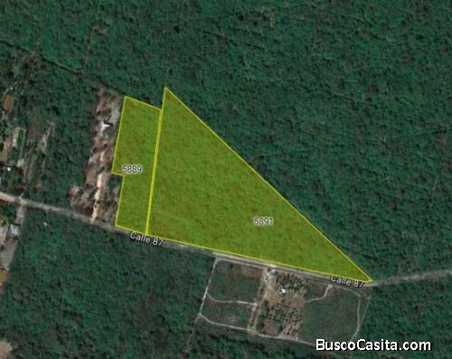 VENDO TERRENO EN UMAN