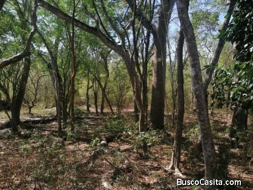 Terreno en Chichimila Yuc.