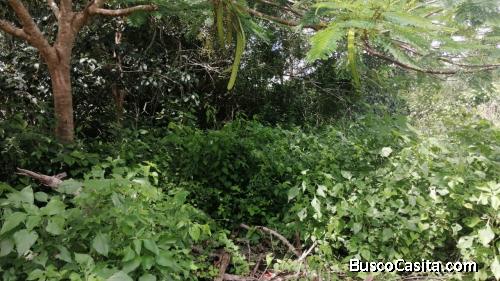 Venta de terreno para cultivo por hectareas