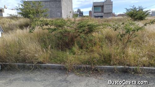 Terreno en venta en Fraccionamiento Los Olivos II