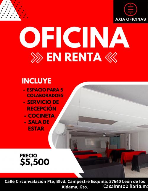 Tu Oficina Ideal para Equipos Pequeños 