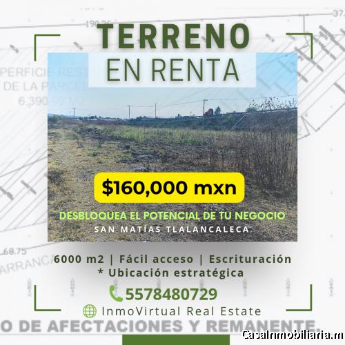 ¡Desbloquea el potencial de tu negocio!