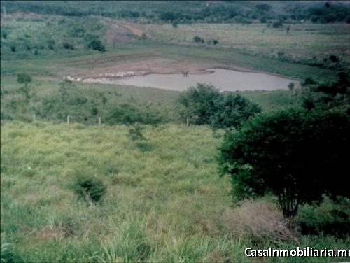 Pantla Terreno en Venta 219.67 Hectareas frente a carretera T538