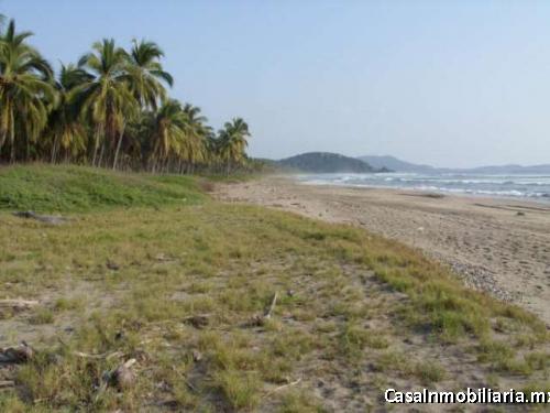Pantla zona Ixtapa 113 hectareas con 800 m2  frente de playa T539