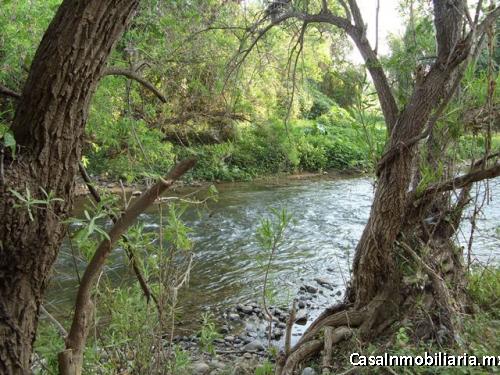 Pantla Terreno en Venta 219.67 Hectareas frente a carretera T538