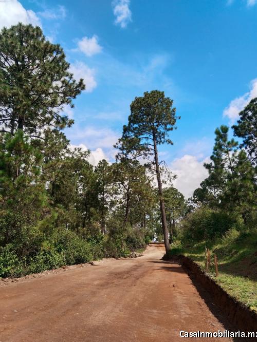 Terreno Rustico Bosque cielo Tapalpa Jalisco