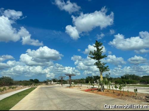 Lote residencial Cabo Norte GAETA merida yuc