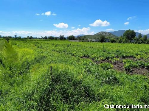 Venta hectárea siembra