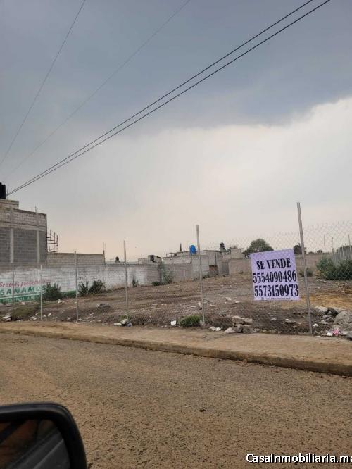 TERRENO VENTA ANDADOR SAN FRANCISCO DE ASIS SAN FRANCISCO ACUAUTLA