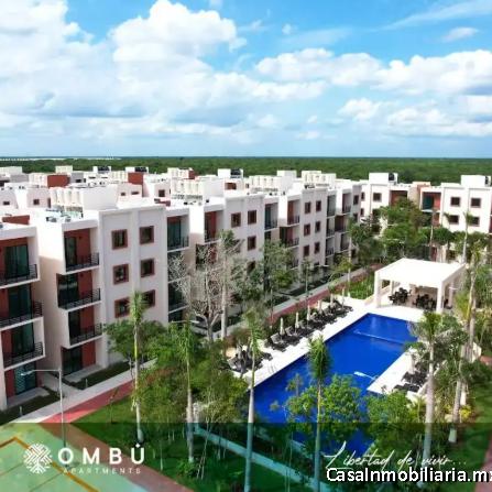 DESARROLLO VENTA OMBU