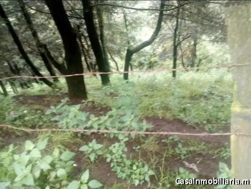 TERRENO VENTA MANUEL AVILA CAMACHO IXTAPALUCA