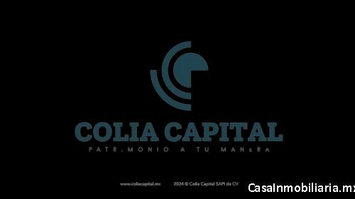 Colia Capital 