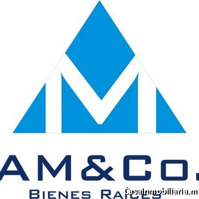 AM&Co