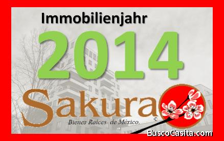 Sakura Benes Raices Mexico